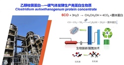 重大突破！中國農(nóng)科院首次實現(xiàn)從一氧化碳到蛋白質(zhì)的合成，并形成萬噸級工業(yè)產(chǎn)能